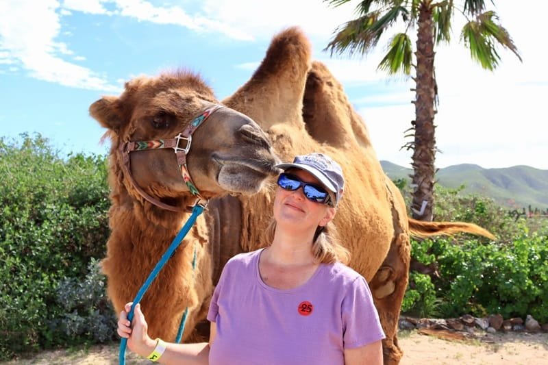 cabo-san-lucas-camel-ride-kiss